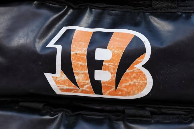 My Research on Bengals Depth Chart